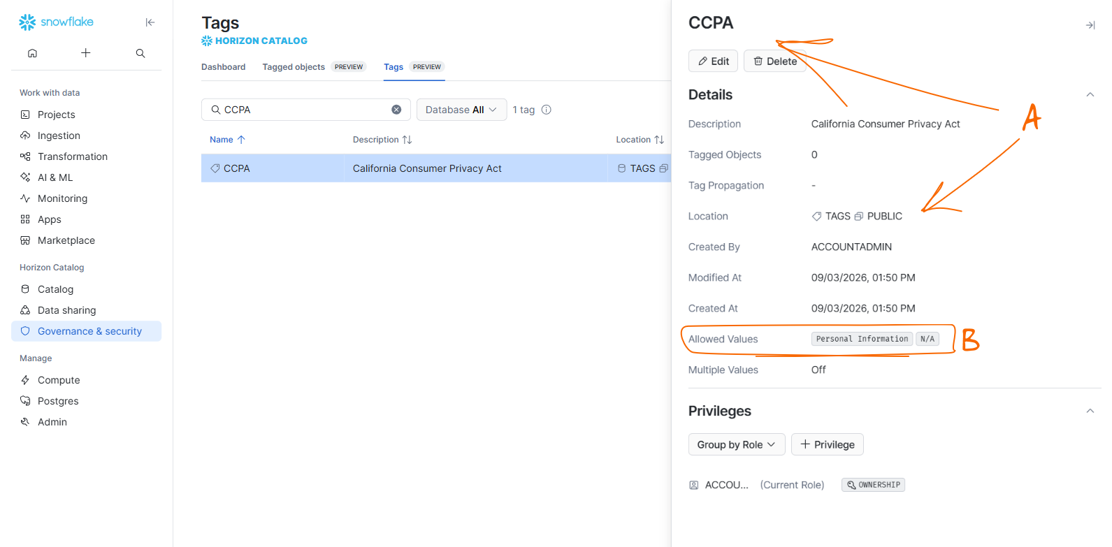 Tag details panel for the CCPA tag in Snowsight