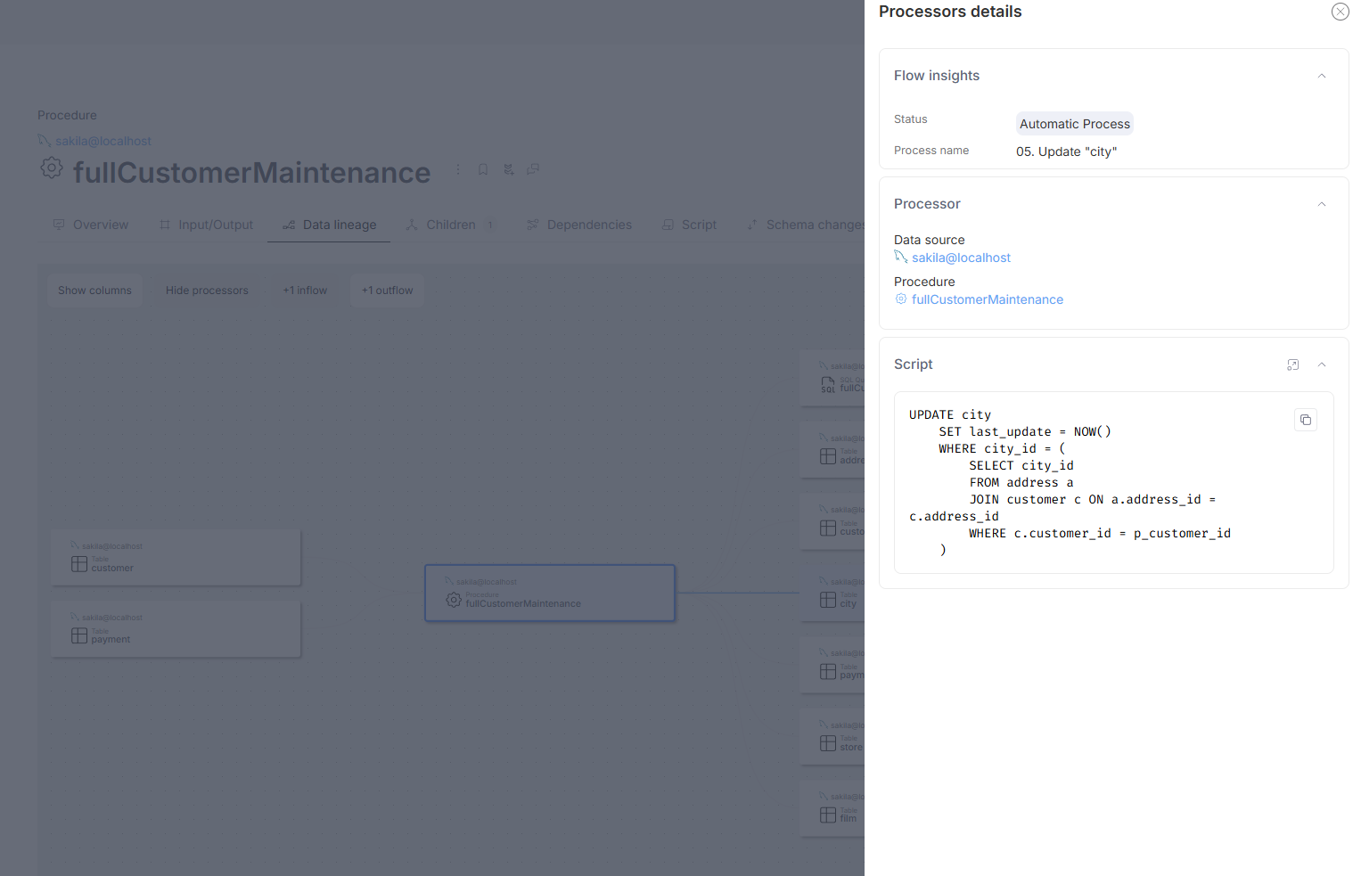 Script procedure lineage