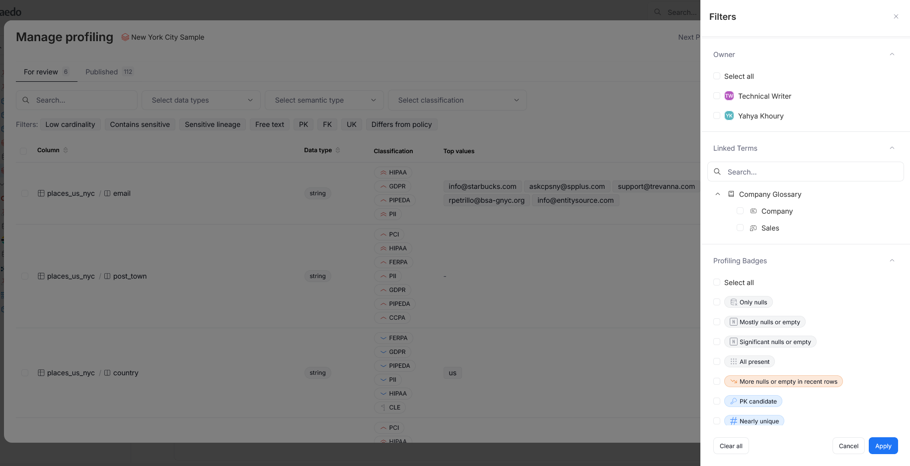 Filtering column profiling results by badge