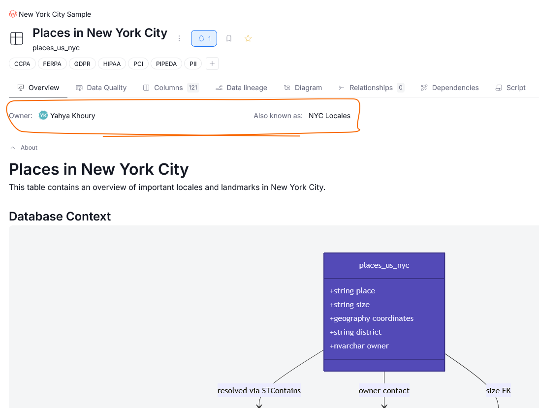 pinned Custom Fields displayed at the top of an asset page