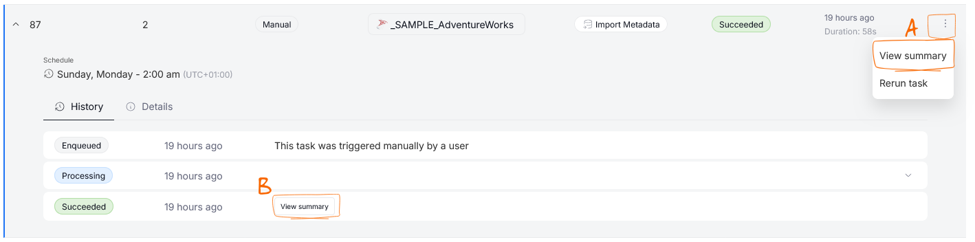 Opening Import Summary